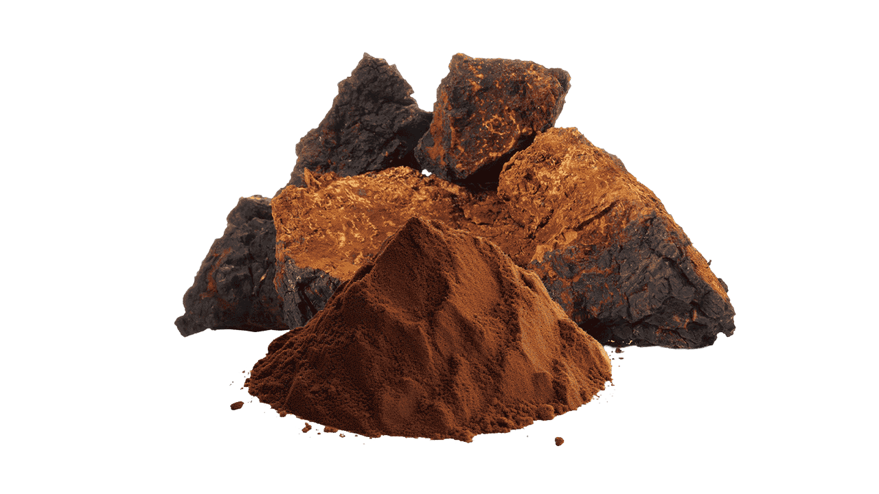 Chaga Powder Extract-3