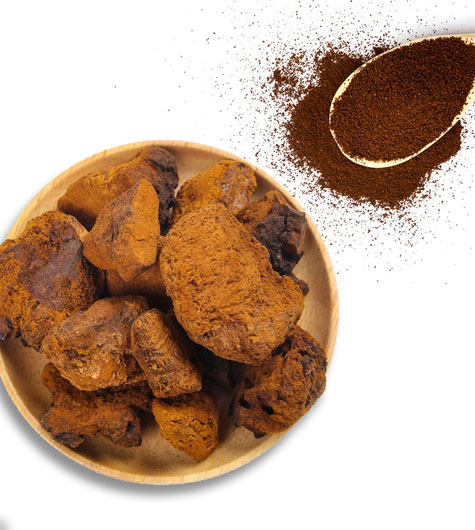 Chaga Powder Extract 4