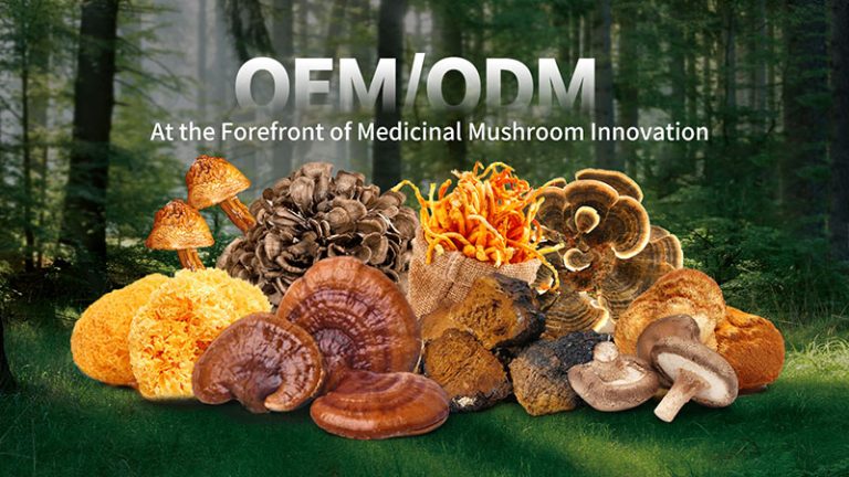 How is the Growth of the Global Health Industry Driving the Medicinal Mushroom Market