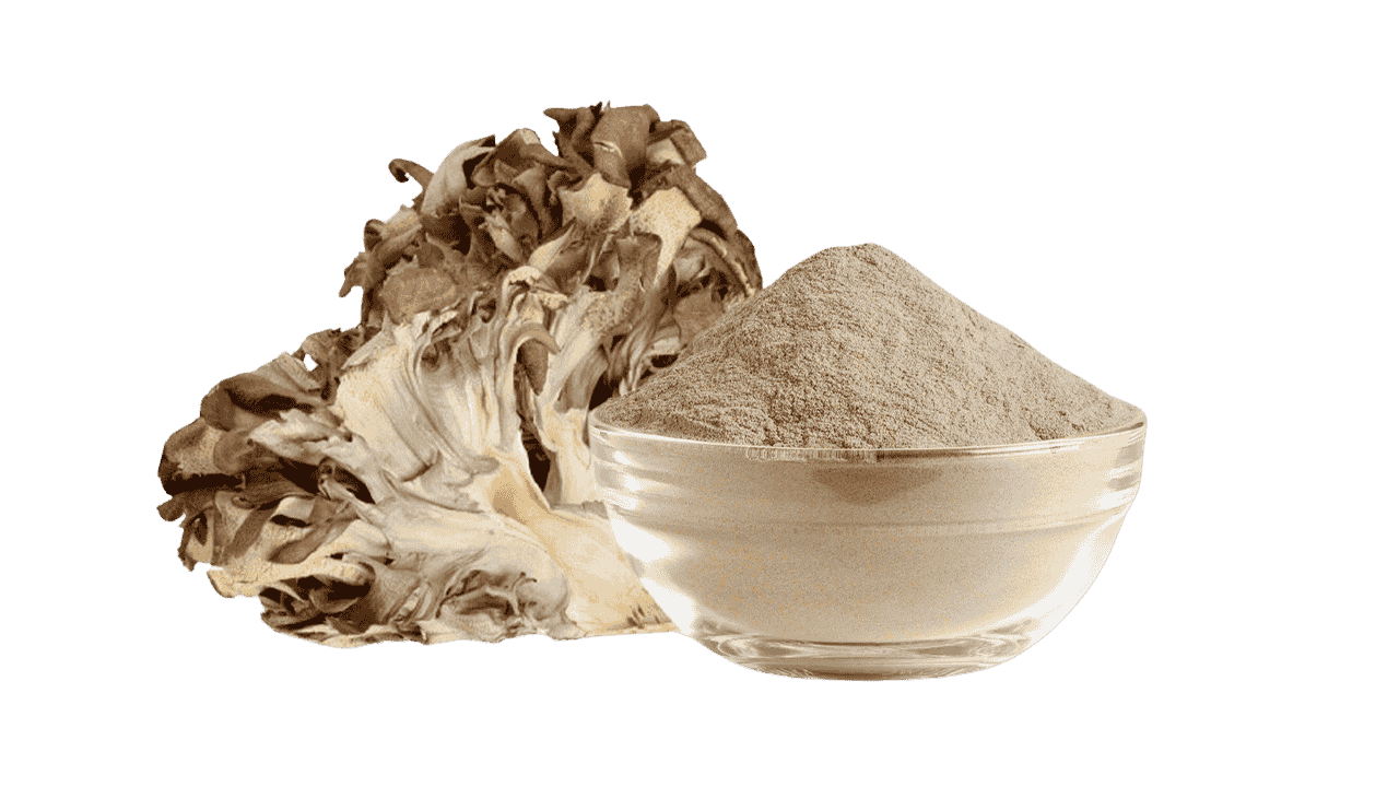 Maitake Mushroom PowderExtract-3