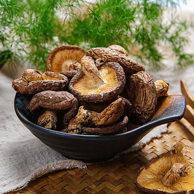 Shiitake Mushroom Powder Extract-1