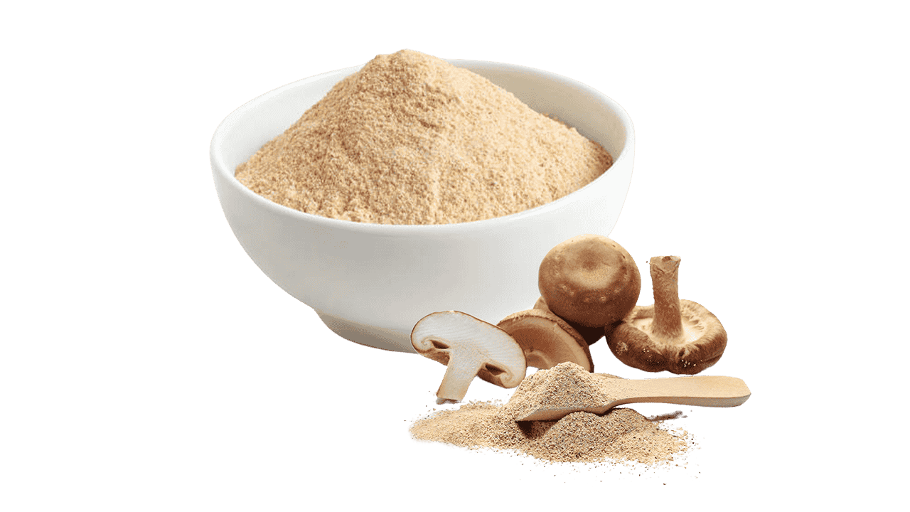 Shiitake Mushroom Powder Extract-2