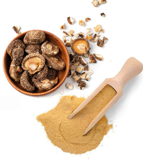 Shiitake Mushroom Powder Extract 3