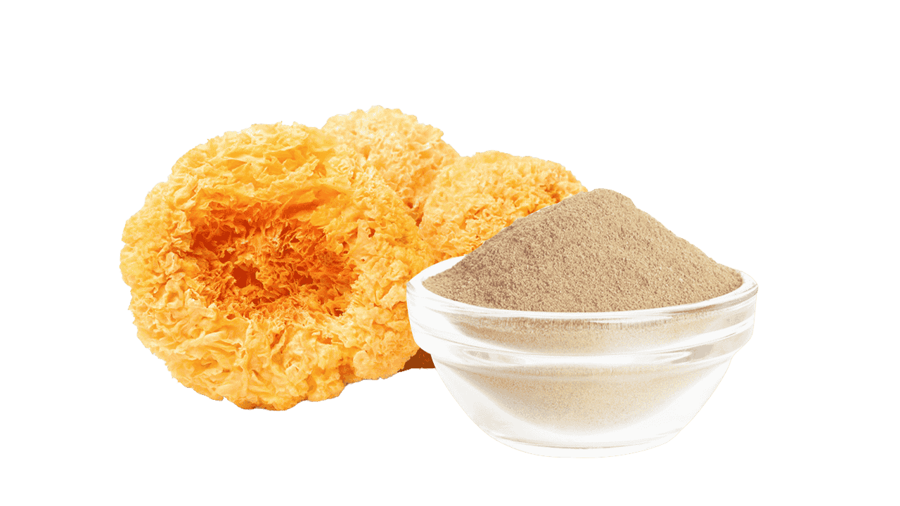 Tremella Powder Extract-2