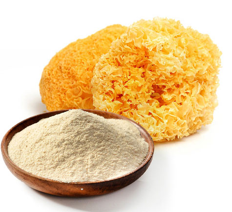 Tremella Powder Extract-3